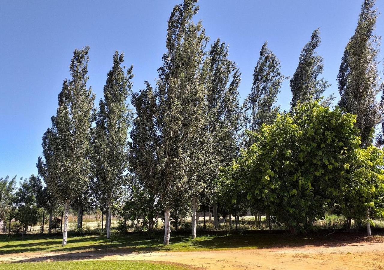 Greenside Of Sea Corujeira ภายนอก รูปภาพ