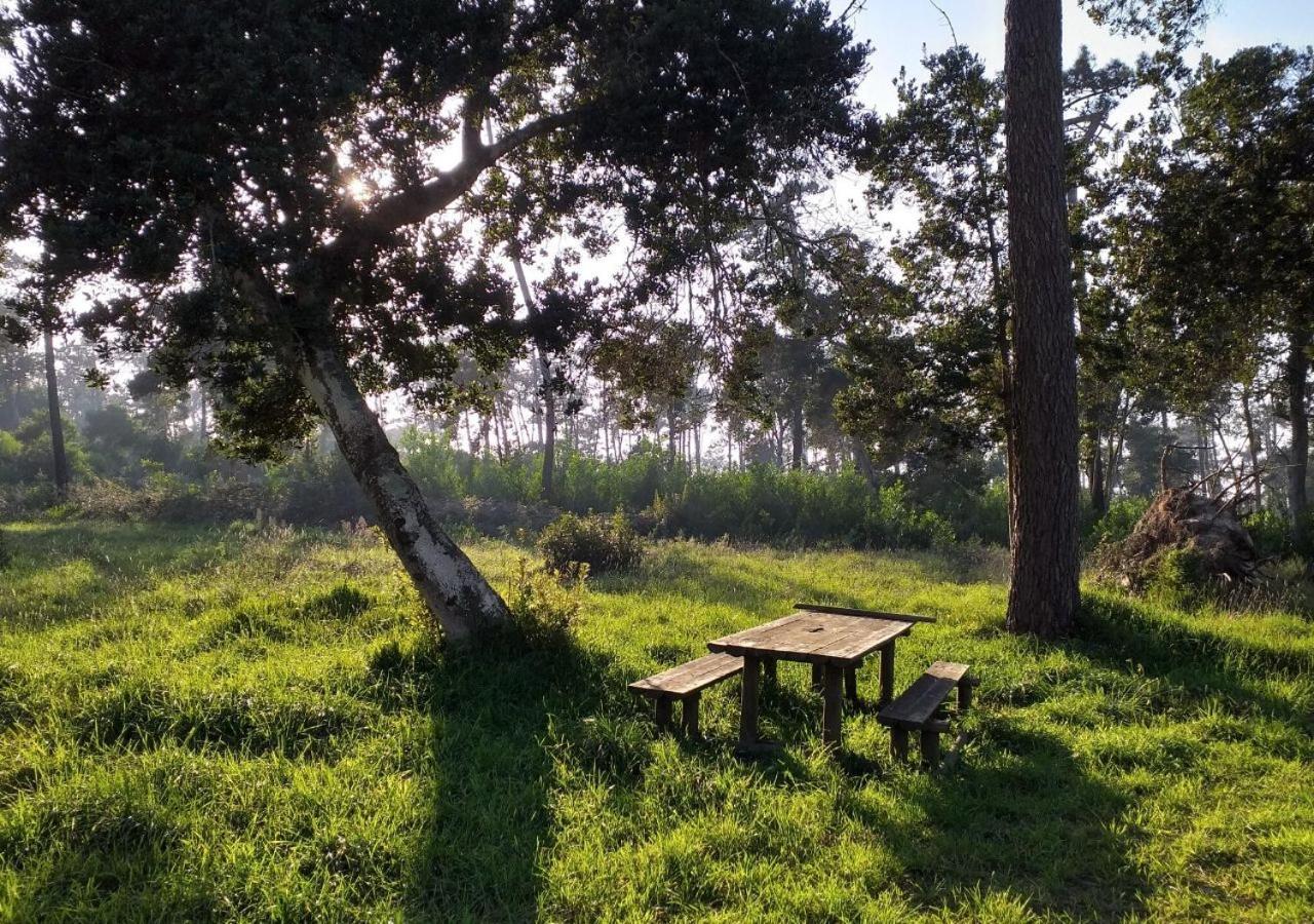 Greenside Of Sea Corujeira ภายนอก รูปภาพ