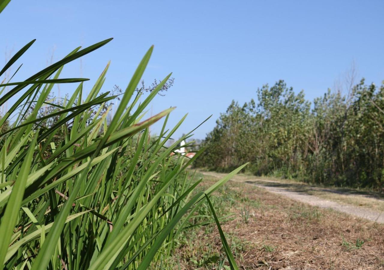 Greenside Of Sea Corujeira ภายนอก รูปภาพ